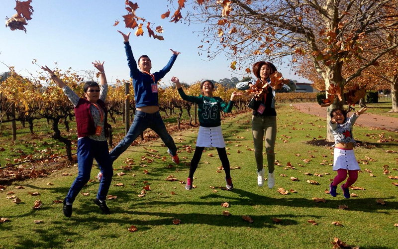 New Australia with Bali - Perth Pink Lake Pinnacles